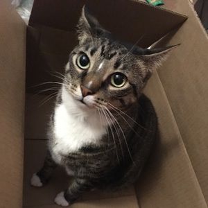 Meet your Posher, Mary